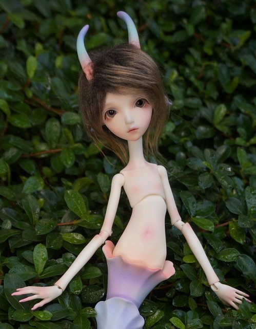 飛馬與鮫人