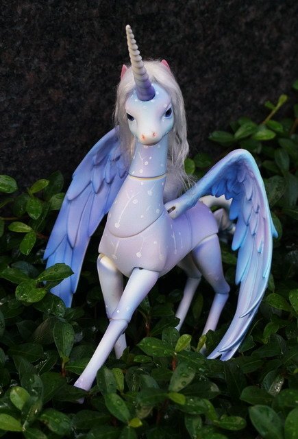 飛馬與鮫人