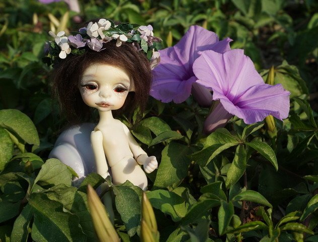 牽牛花田中的蝸牛妹