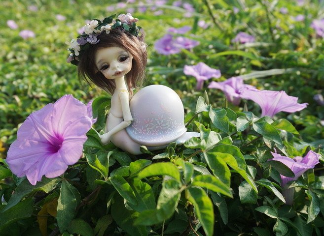 牽牛花田中的蝸牛妹