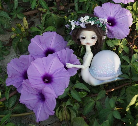 牽牛花田中的蝸牛妹