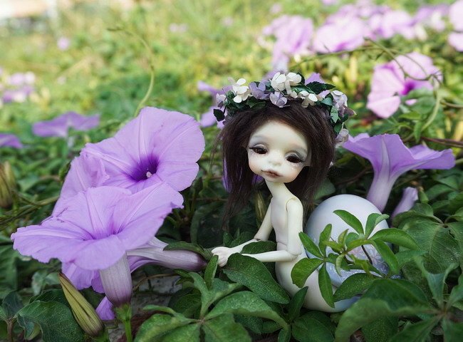 牽牛花田中的蝸牛妹