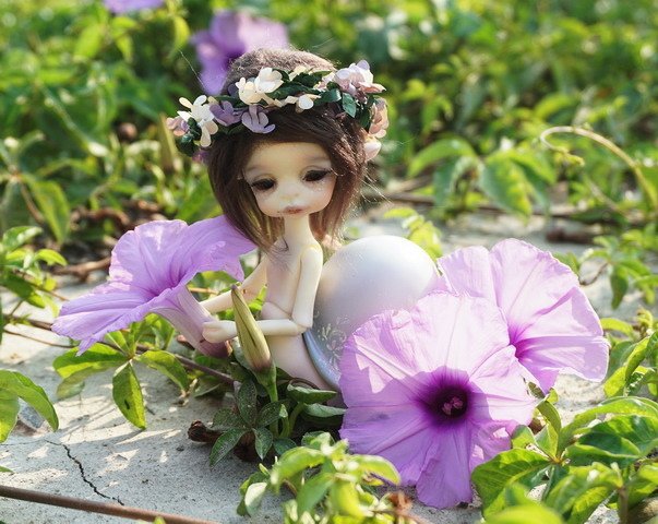 牽牛花田中的蝸牛妹