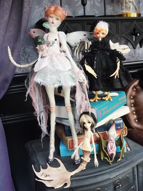 怪奇生物博物館