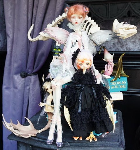 怪奇生物博物館