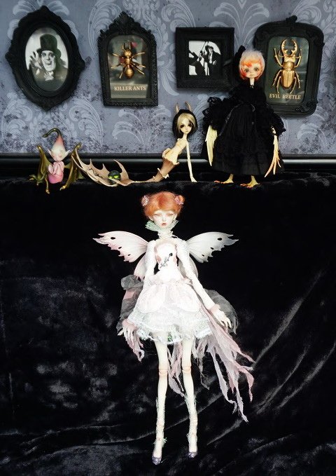 怪奇生物博物館