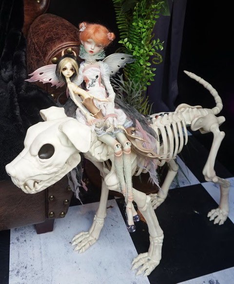 怪奇生物博物館