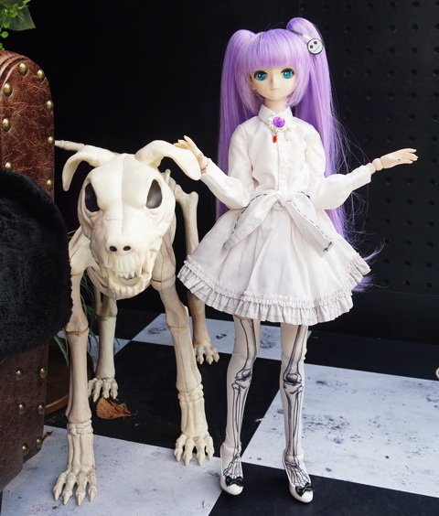 怪奇生物博物館
