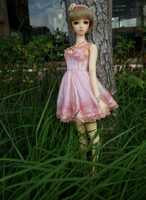 粉橘蕾絲淑女洋裝