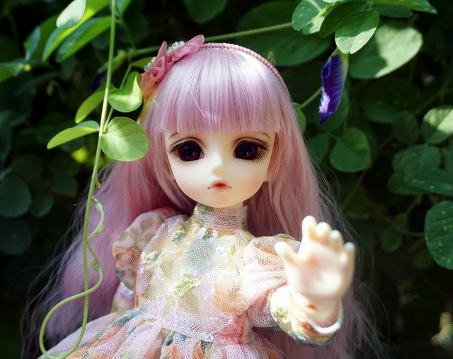 碎花蕾絲小洋裝