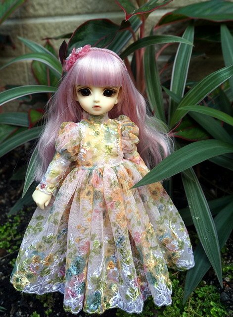 碎花蕾絲小洋裝
