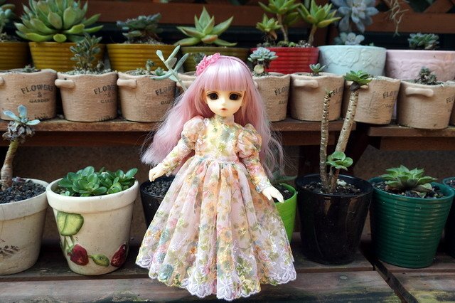 碎花蕾絲小洋裝