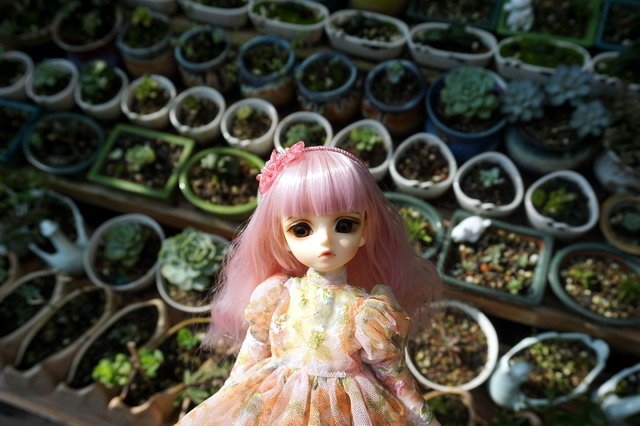 碎花蕾絲小洋裝
