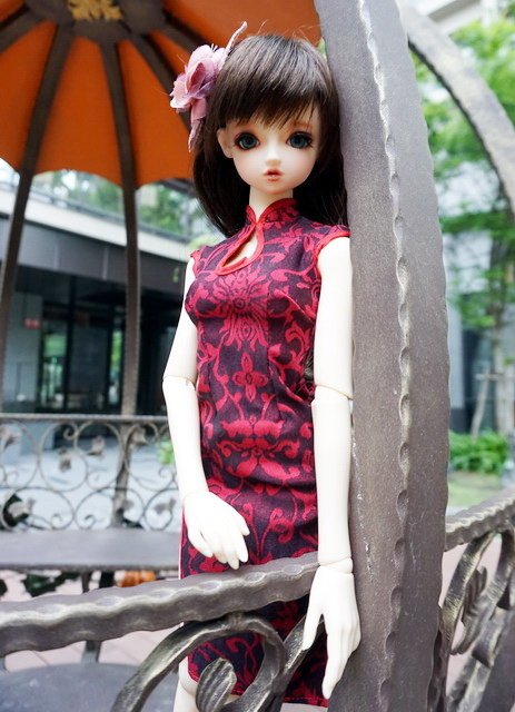 旗袍美人