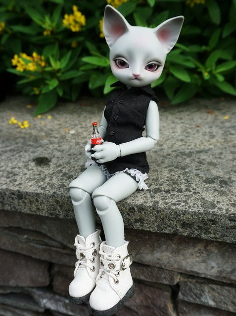 貓貓愛可樂