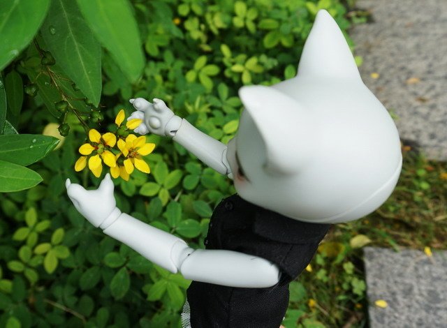 貓貓愛可樂