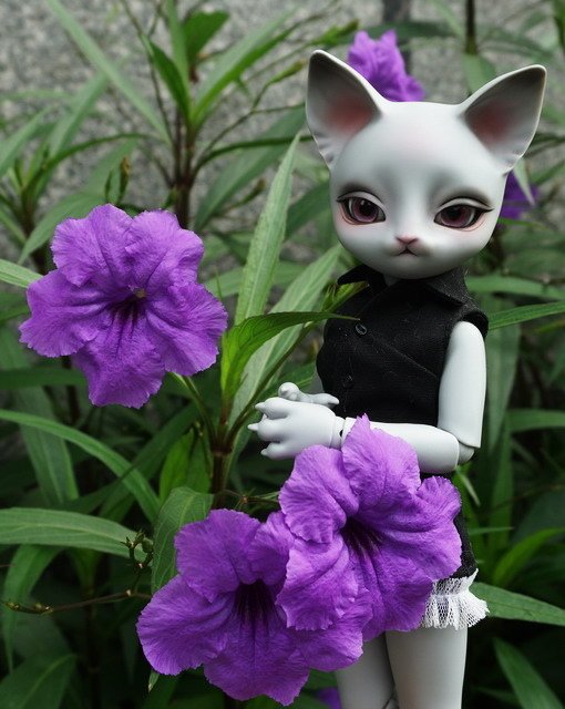 貓貓愛可樂