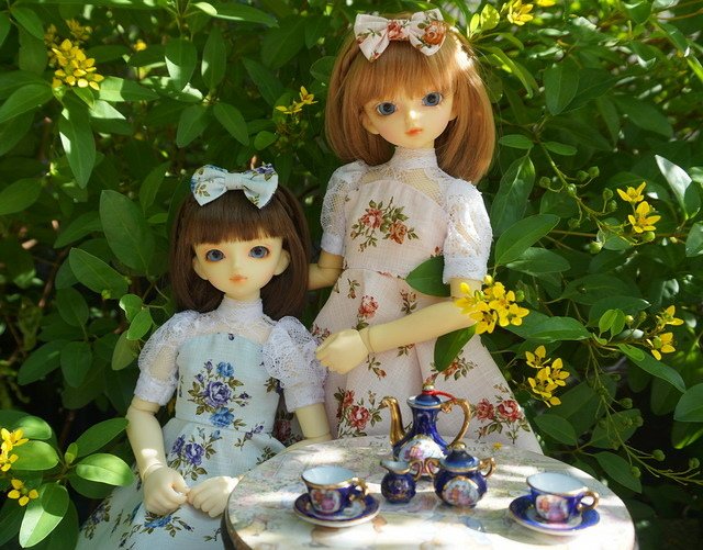雙胞胎姊妹的茶會