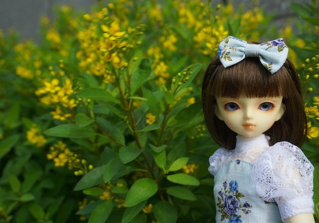 雙胞胎姊妹的茶會