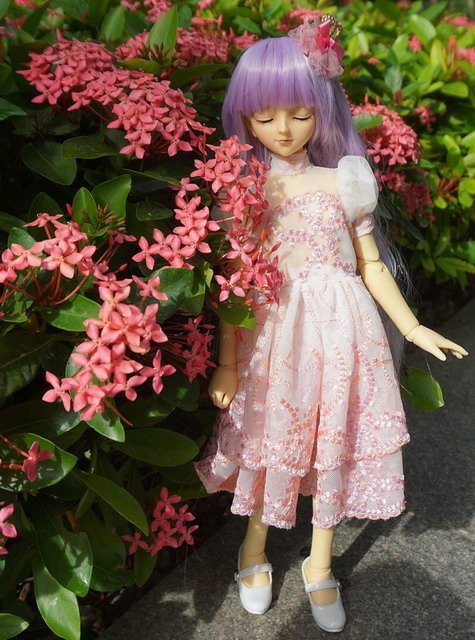 清純小淑女