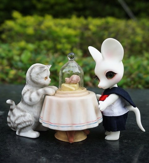 貓與鼠