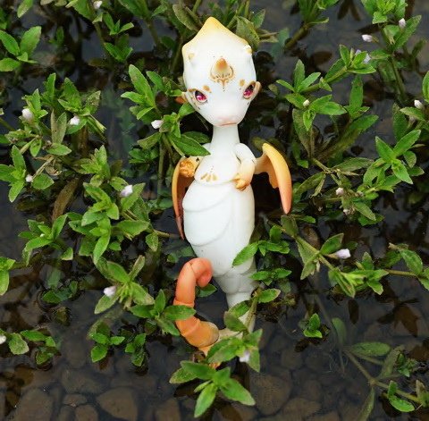 戲水小海馬