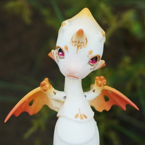 戲水小海馬