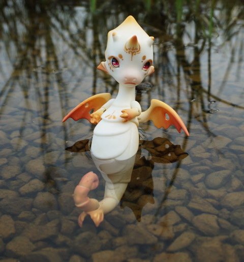 戲水小海馬