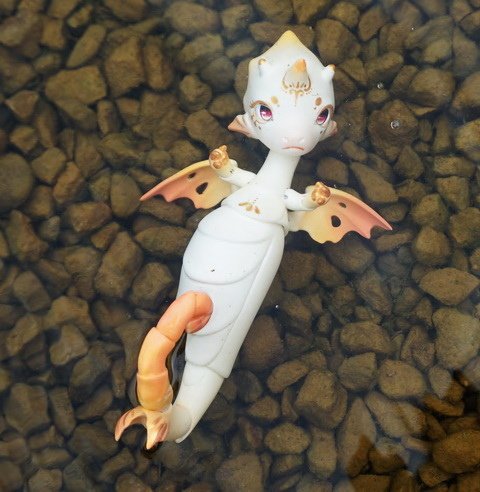 戲水小海馬