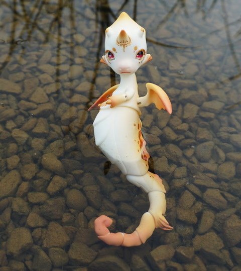 戲水小海馬
