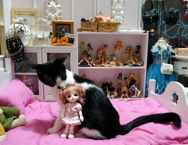 歪歪 &amp; 娃娃