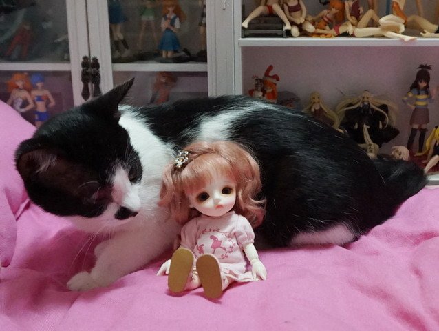 歪歪 &amp; 娃娃