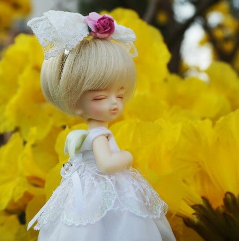 愛睏的眠天使