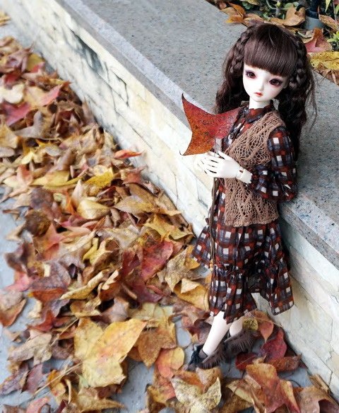 楓紅佳人