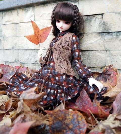 楓紅佳人