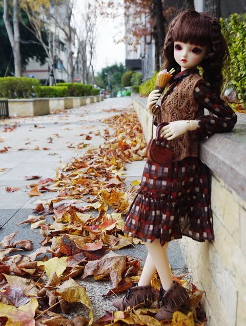 楓紅佳人