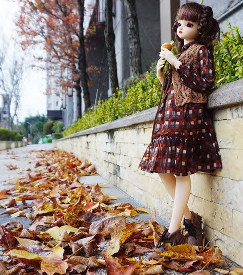 楓紅佳人