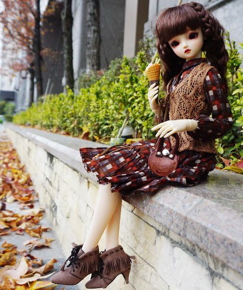 楓紅佳人