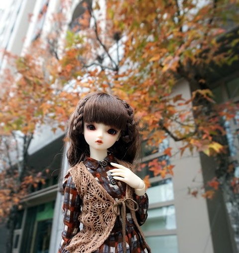 楓紅佳人