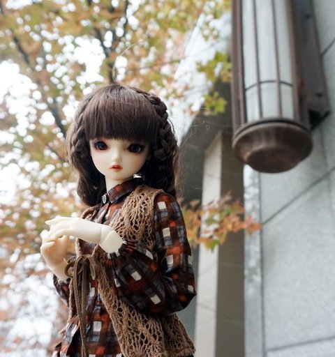 楓紅佳人