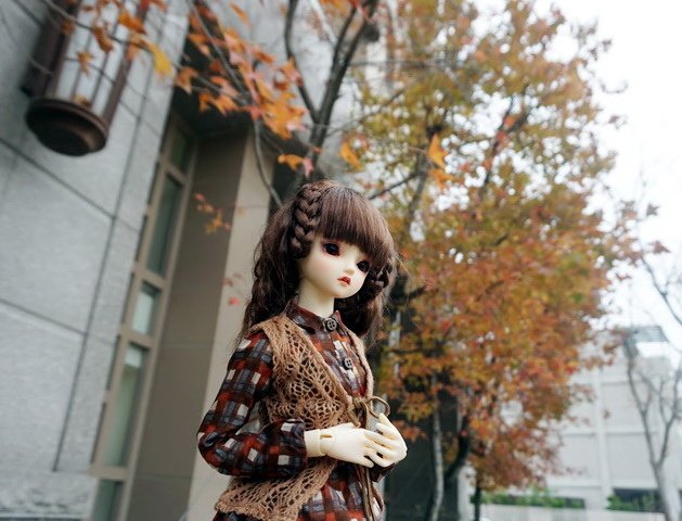 楓紅佳人