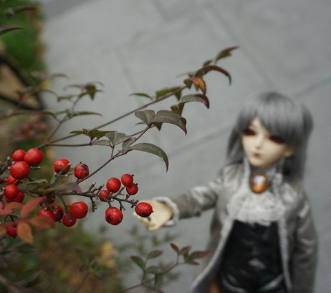 吸血鬼王子
