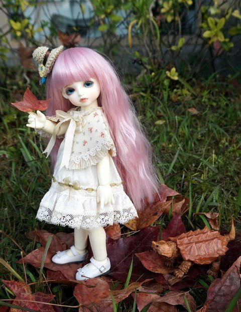 楓葉龜與小蘿莉