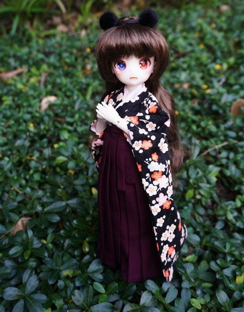 大正風和服袴佳人