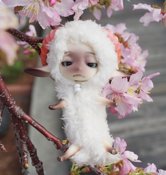 櫻花小綿羊