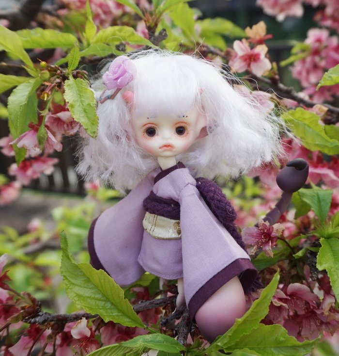 櫻花小蠍子
