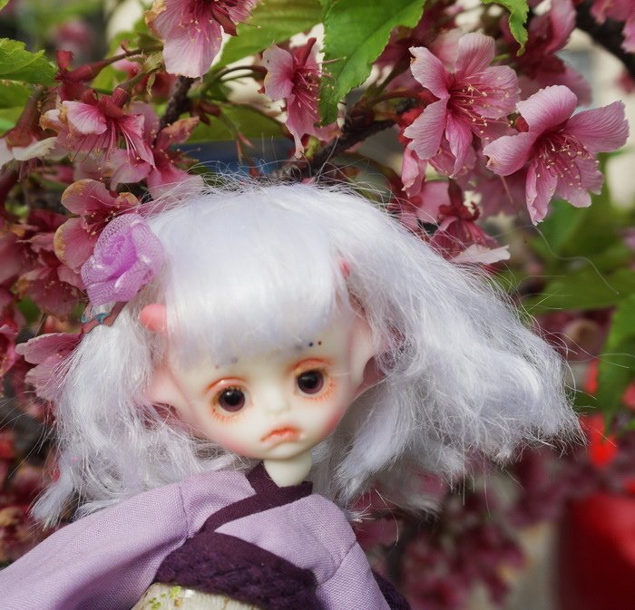櫻花小蠍子