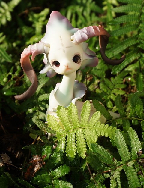 花山羊