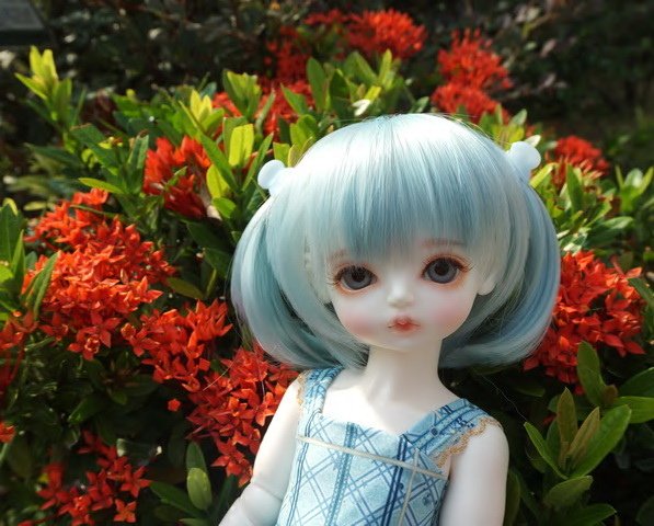 抱花束的少女