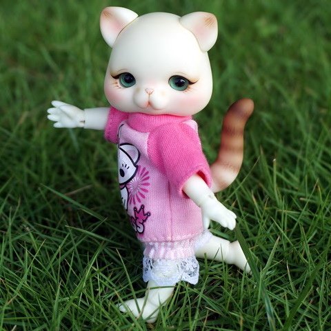 萌萌小貓仔